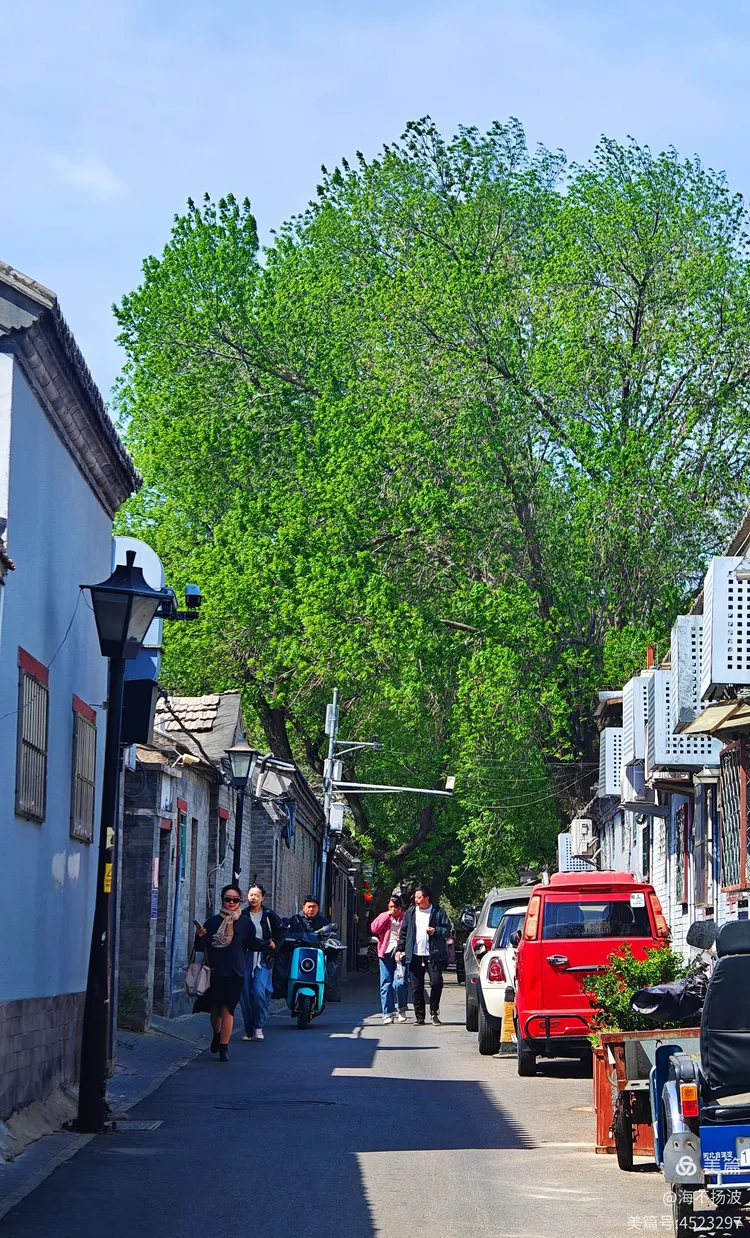 菊儿胡同,后圆恩寺胡同